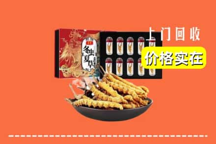 阜阳界首市回收冬虫夏草
