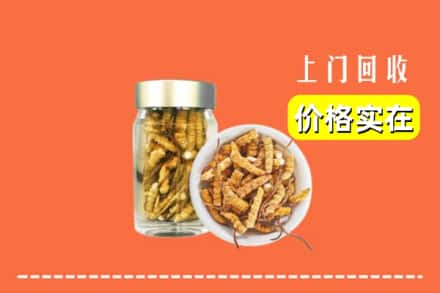 阜阳界首市回收散虫草