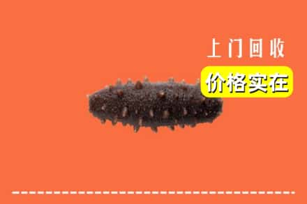 阜阳界首市回收海参